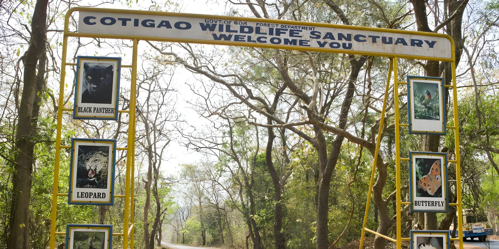 Into the Wild_ Cotigao 1.jpg